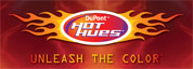 Hot Hues logo